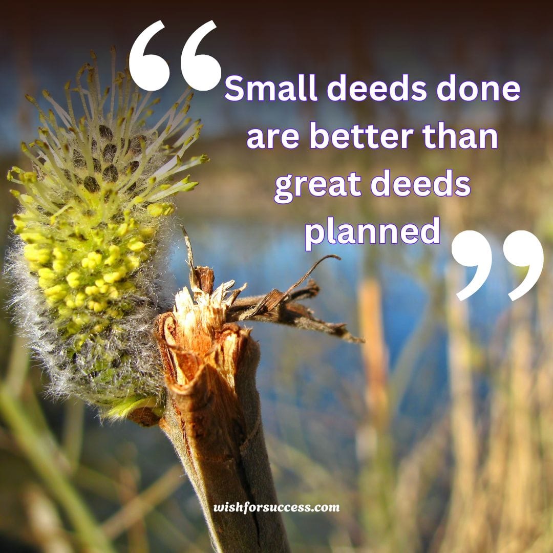 motivational-quotes-images-for-success (9) Inspirational quote: "Small deeds done are better than great deeds planned" on a vibrant background, promoting success.
