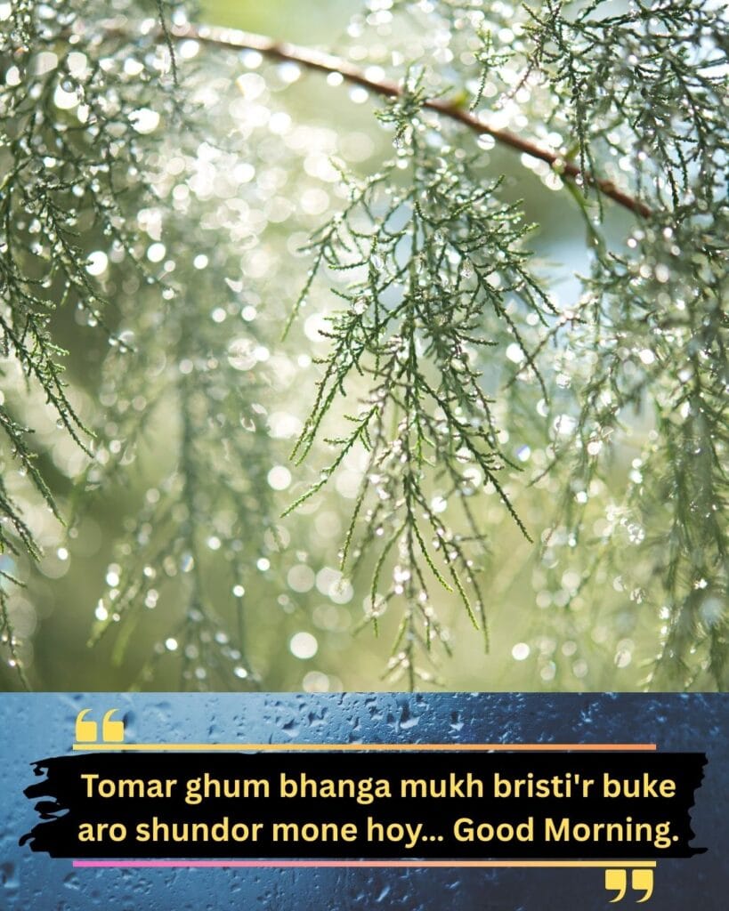 200+ Romantic Bristi Veja Good Morning Status For WhatsApp | Motivational Wallpaper 200+ Romantic Bristi Veja Good Morning Status For WhatsApp