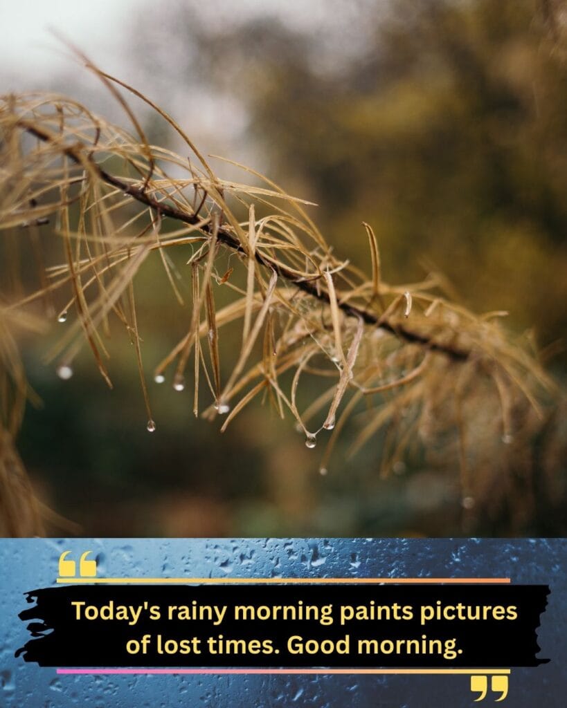 200+ Romantic Bristi Veja Good Morning Status For WhatsApp | Motivational Wallpaper 200+ Romantic Bristi Veja Good Morning Status For WhatsApp