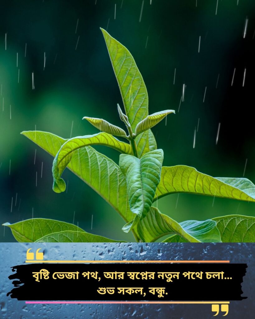 200+ Romantic Bristi Veja Good Morning Status For WhatsApp | Motivational Wallpaper 200+ Romantic Bristi Veja Good Morning Status For WhatsApp