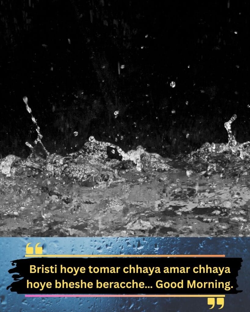 200+ Romantic Bristi Veja Good Morning Status For WhatsApp | Motivational Wallpaper 200+ Romantic Bristi Veja Good Morning Status For WhatsApp