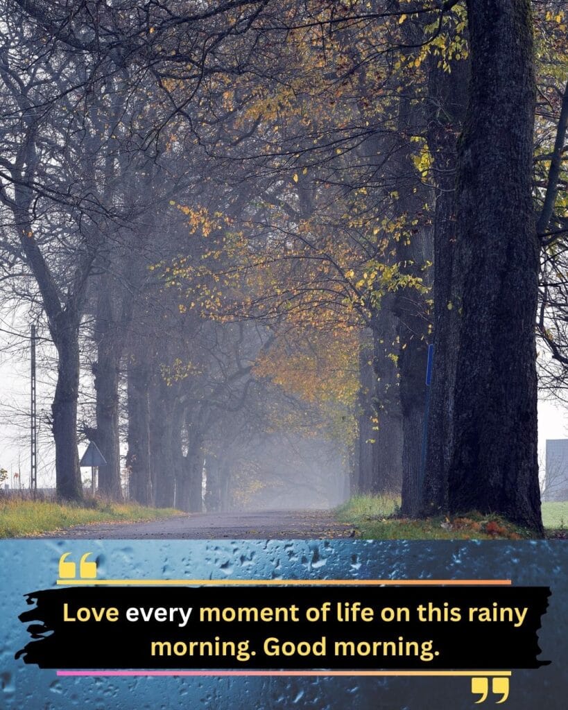 200+ Romantic Bristi Veja Good Morning Status For WhatsApp | Motivational Wallpaper 200+ Romantic Bristi Veja Good Morning Status For WhatsApp