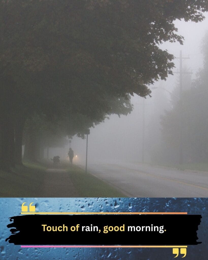 200+ Romantic Bristi Veja Good Morning Status For WhatsApp | Motivational Wallpaper 200+ Romantic Bristi Veja Good Morning Status For WhatsApp
