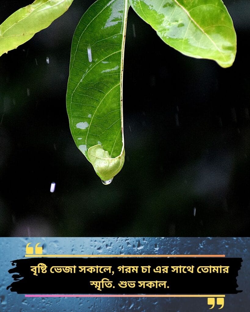 200+ Romantic Bristi Veja Good Morning Status For WhatsApp | Motivational Wallpaper 200+ Romantic Bristi Veja Good Morning Status For WhatsApp