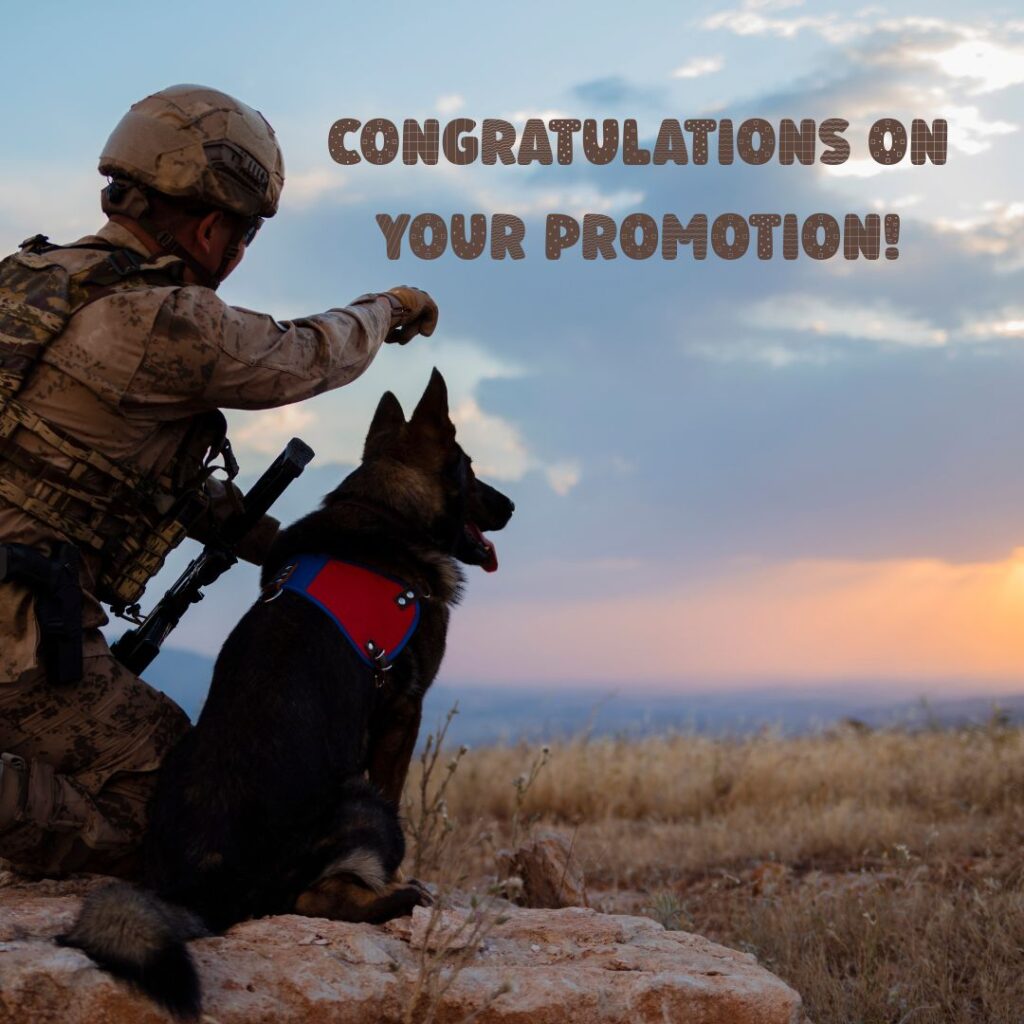 200+ Best Congratulations Messages Military Promotion - The Best wishes | Motivational Wallpaper A soldier and a German Shepherd wearing a red harness sit on a rocky surface at sunset. Text reads "Congratulations on your promotion!"