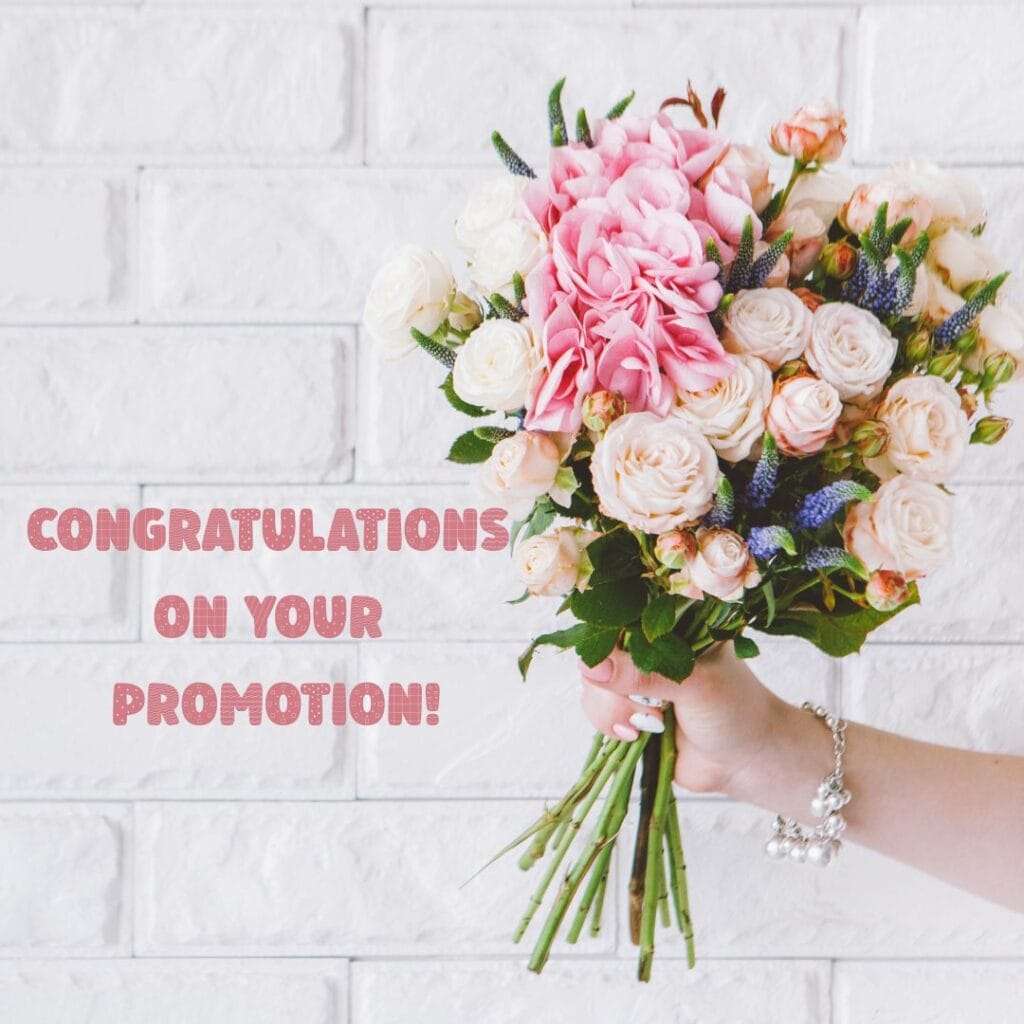 200+ Best Congratulations Messages Military Promotion - The Best wishes | Motivational Wallpaper A hand holding a colorful bouquet of pink and white flowers against a white brick wall. Text reads, "Congratulations on your promotion!" in pink letters.