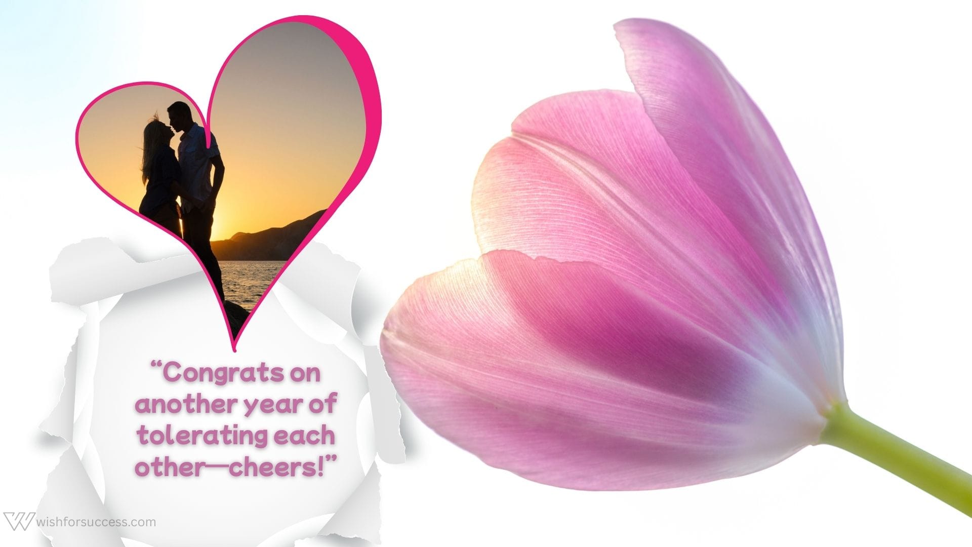 happy anniversary wishes for couples (9) A heart-shaped frame on the left shows a couple silhouetted against a sunset. A pink tulip emerges on the right. Text reads: “Congrats on another year of tolerating each other—cheers!” The tone is playful and romantic.