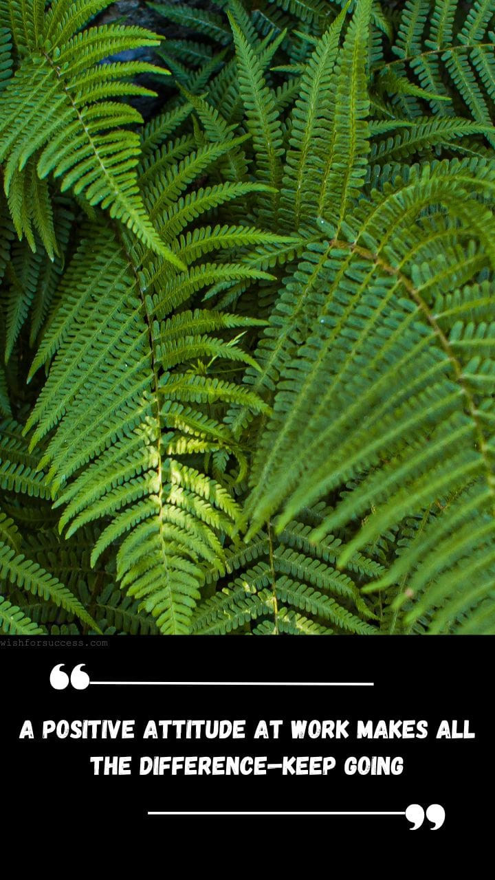 Best Positive Thinking Thursday Motivational Quotes Images Free Download | Motivational Wallpaper Close-up of lush green fern leaves with a motivational quote below: "A positive attitude at work makes all the difference—keep going.